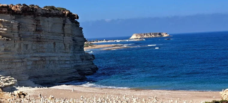 Obóz CYPR - Pafos (Hotel AVLIDA 4*) - obóz młodzieżowy (samolot) – zdjęcie 40