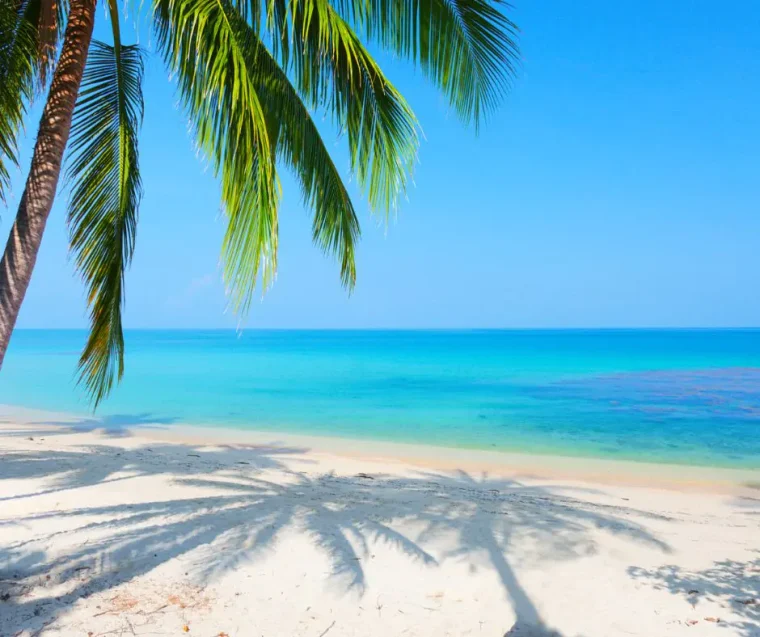 Zielona szkoła w Olimpic Beach - Grecja